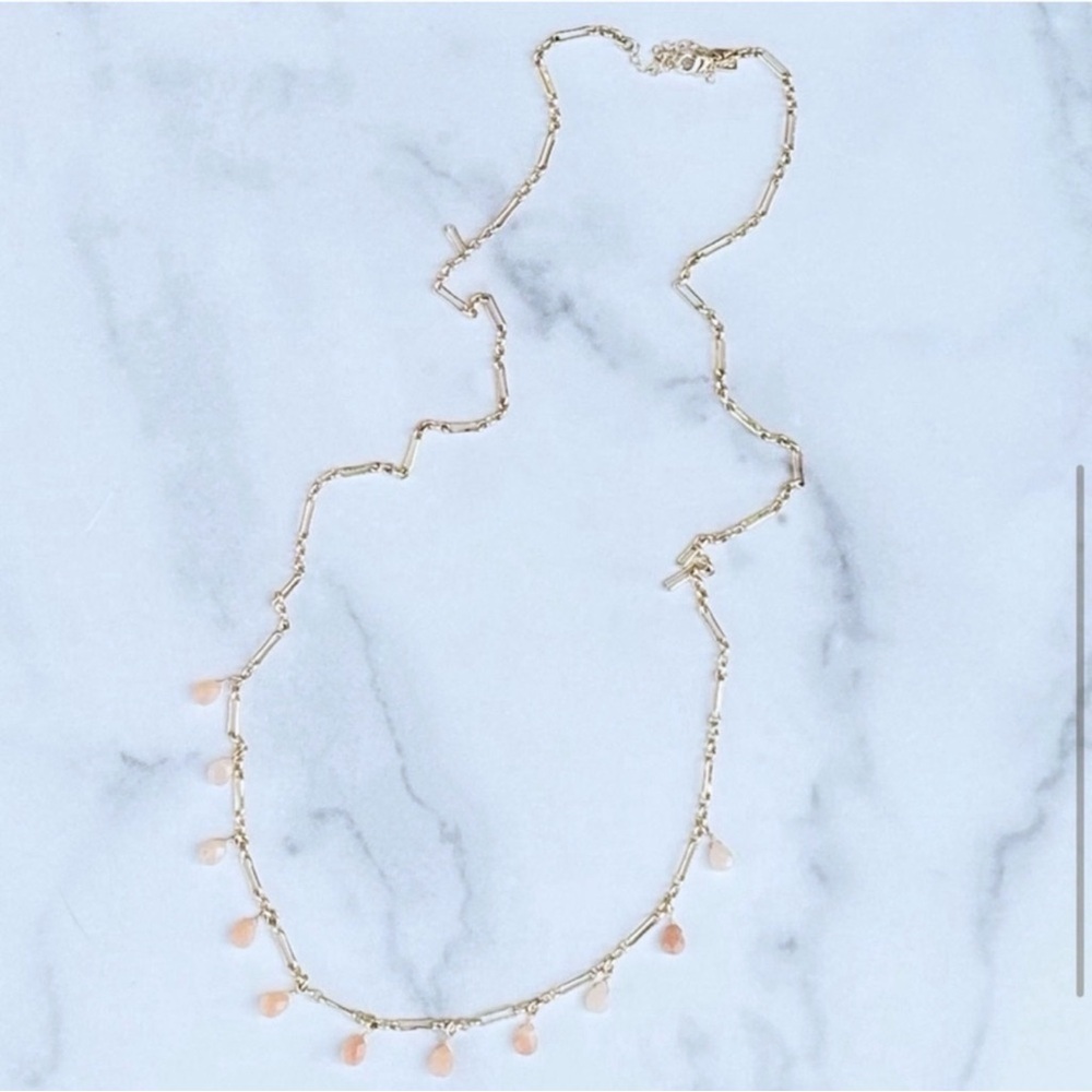 Banana Republic Long Gold Chain Faux Coral Necklace - Picture 2 of 4